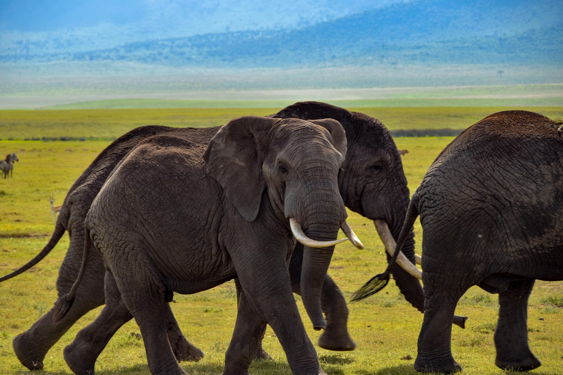 Tarangire National Park