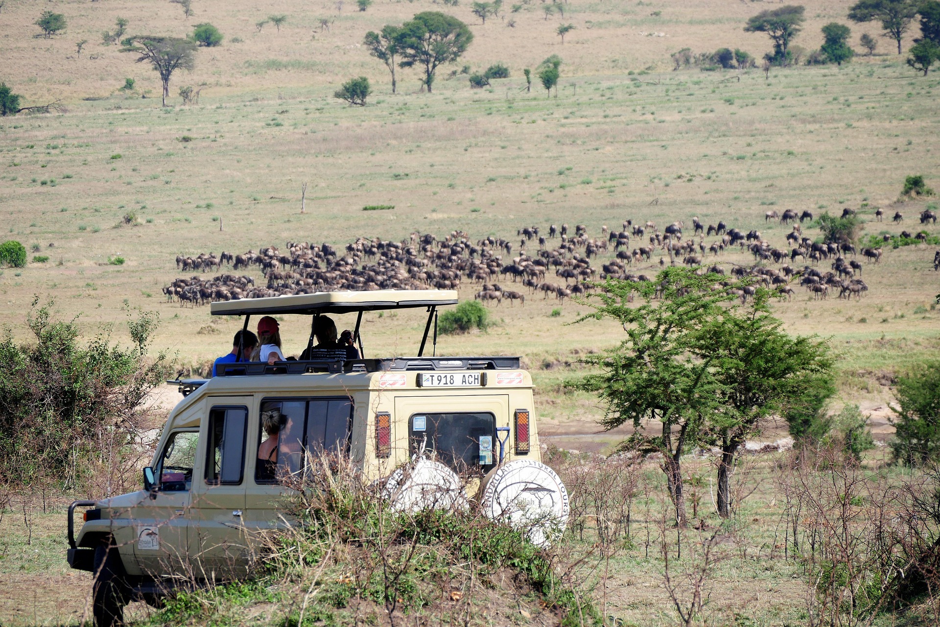 Safari game drive in Tanzania